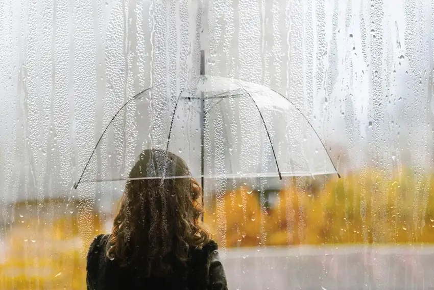 Seasonal Depression Seasonal Affective Disorder4